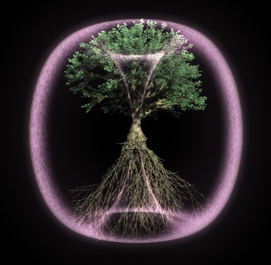 Toroid overlayed on a tree with roots depicted as well